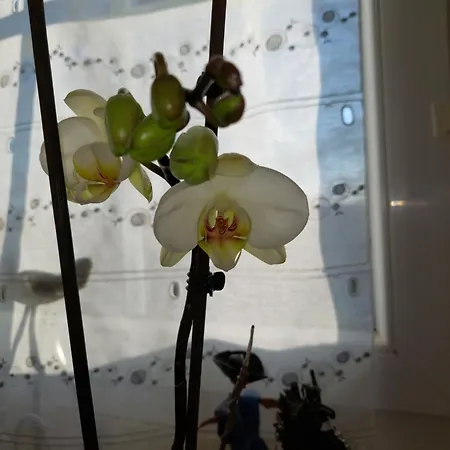 Le Mareuillais Hotel-restaurant 2* Mareuil-sur-Lay