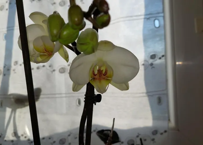 Le Mareuillais Hotel-restaurant 2* Mareuil-sur-Lay