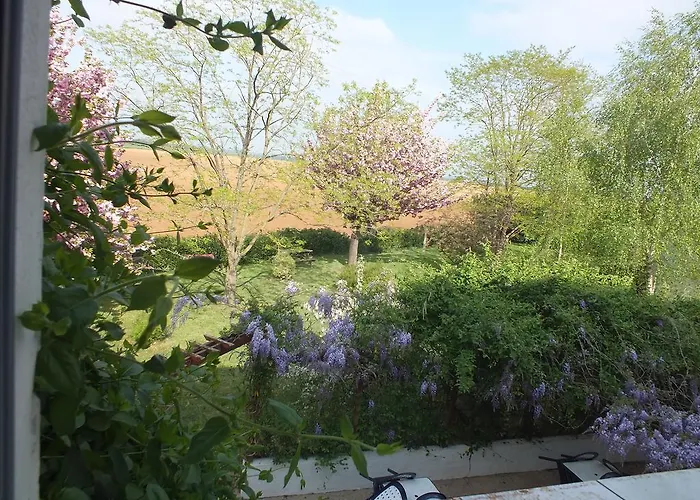 Hotel Le Mareuillais Hotel-restaurant Mareuil-sur-Lay